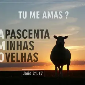 Rádio só love fm