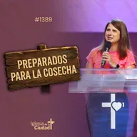 414: Preparados para la cosecha -  01/02/2026 - #1389