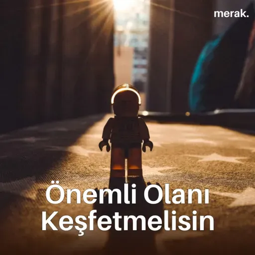 Meşguliyet Tuzağı: Farelerin Peşinde Bir Hayat