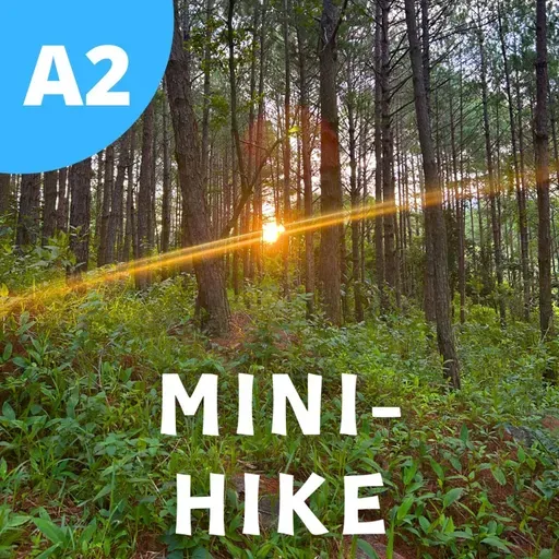 #132 - A2 - Мини-поход