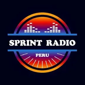 SPRINT RADIO 80