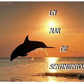 Sentimientos