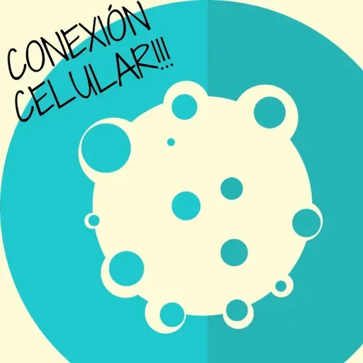 Introducción Conexión Celular