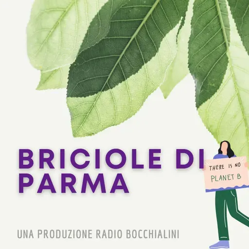 Briciole di Parma -  Mi si è rotta la mascherina e...
