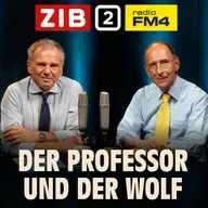 Der Professor und der Wolf: Schicksalswahl für Ungarn