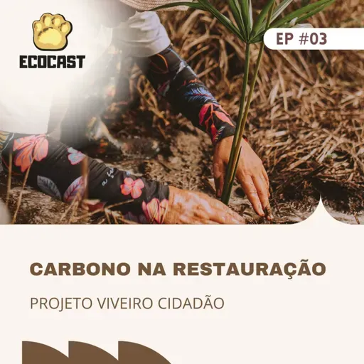 [#ESPECIAL CARBONO] Carbono na Restauração