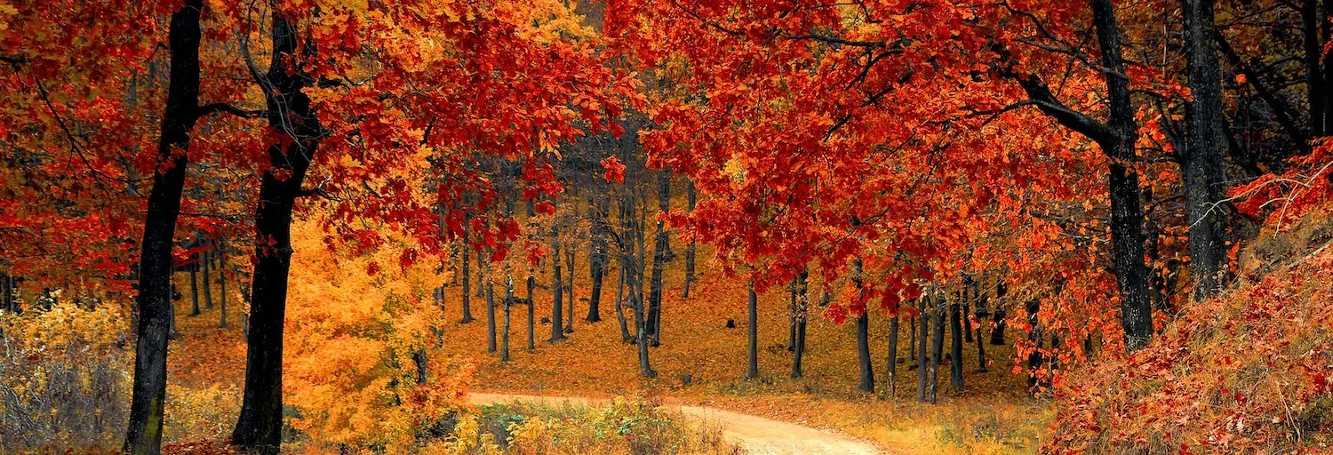 Storm Chaser Coffee House