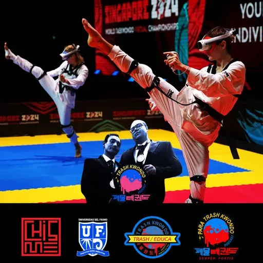 Taekwondo Virtual