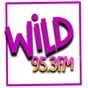 WILD 95.3 FM
