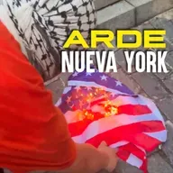 ¿Qué hay detrás de las protestas universitarias pro-Palestina en EE. UU.?