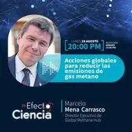 Efecto Ciencia: /Acciones globales para reducir las emisiones de gas metano - Marcelo Mena - Director Ejecutivo de Global Methane Hub.