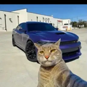 Pooooooo