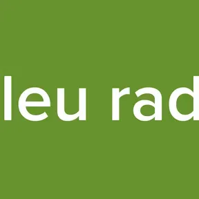 releu radio
