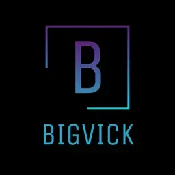 BIGVICK RADIO