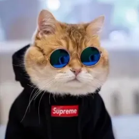 Puro barrio