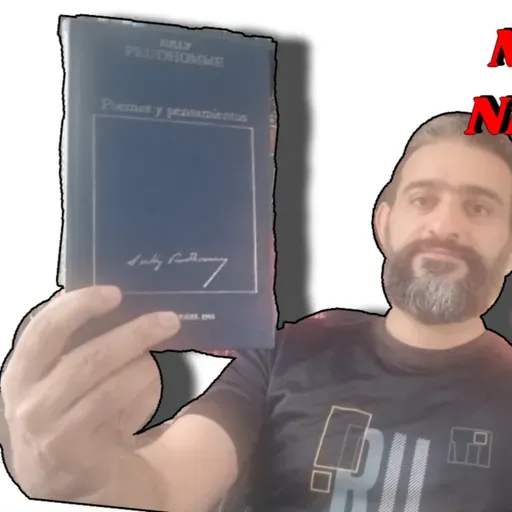 Comentarios de la obra Poemas y pensamientos - Sully Prudhomme