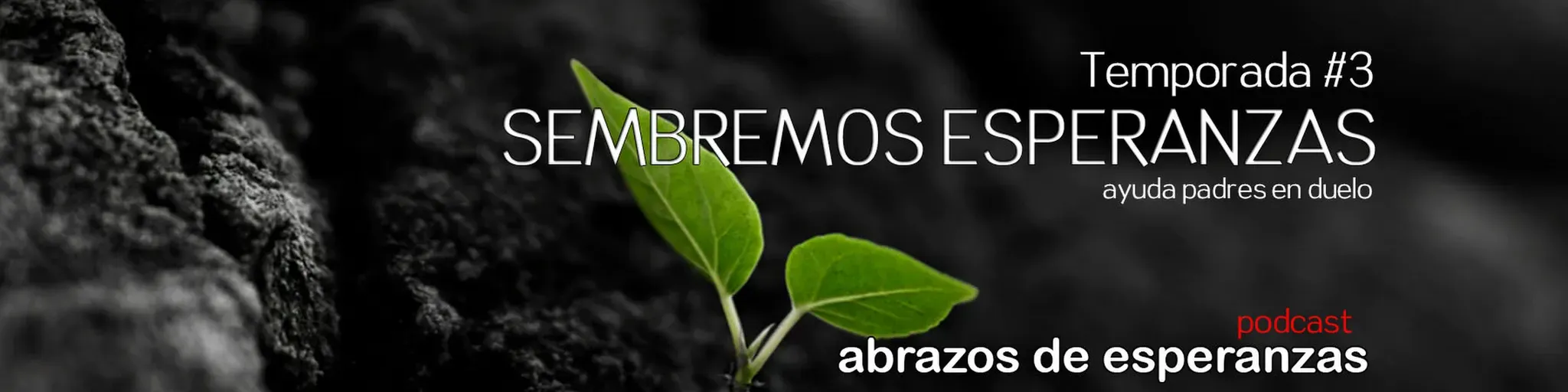 Abrazos de Esperanzas