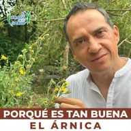 ¿Por qué es tan buena el Árnica?