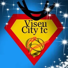 Viseu Night city