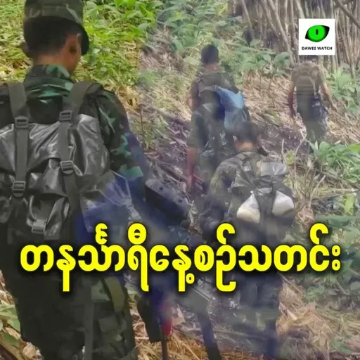 ဖေဖော်ဝါရီလ ၁၁ရက် တနင်္သာရီနေ့စဉ်သတင်း အစီအစဉ်