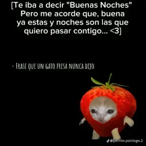 Newgamers XD
