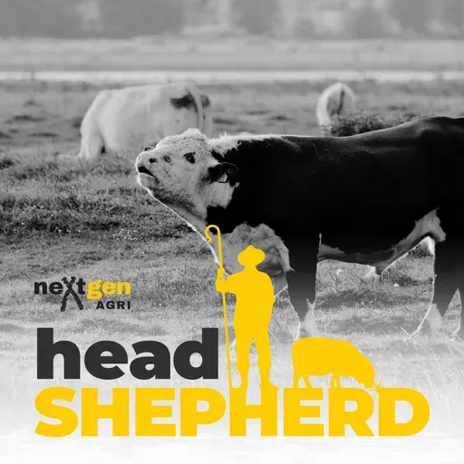 Key tips for improving the reproductive performance of your beef herd with Dr Shane Thomson