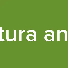 abertura animes