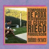 Temporada de poda, resembrar césped, riego