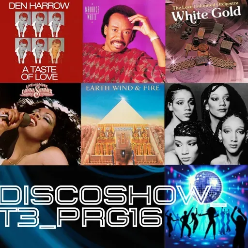 DiscoShow_T3_Prg16