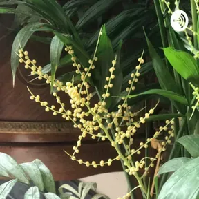 رنگین‌کمان قصه