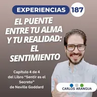 El puente entre tu alma y tu realidad: El sentimiento Experiencias 187