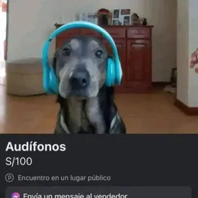 RADIO INSANA