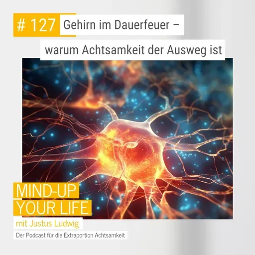 Gehirn im Dauerfeuer – warum Achtsamkeit der Ausweg ist #127