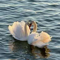 ١٨١| شحلاتها🤩