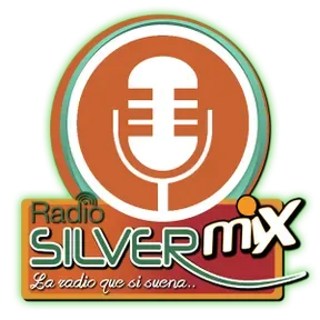 95.3 fm Radio Silver mix
