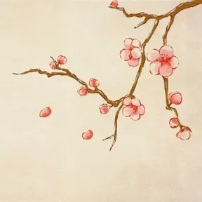 Kiến thức tâm linh và đời sống | Tâm Linh Toàn Thư