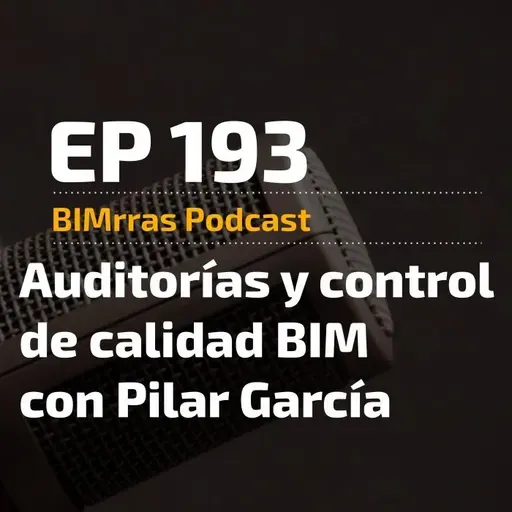 193 Auditorías y control de calidad BIM