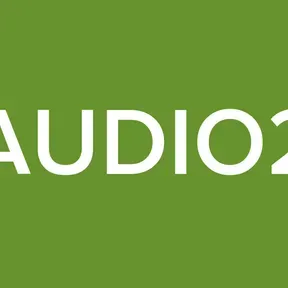 RAUDIO29