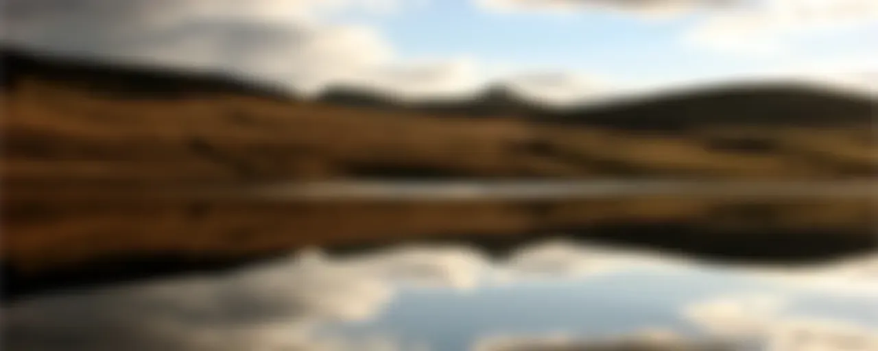 Buscando el rostro de Dios