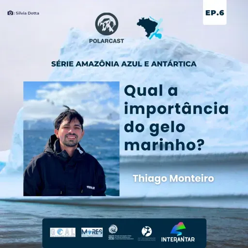 Qual a importância do gelo marinho? 