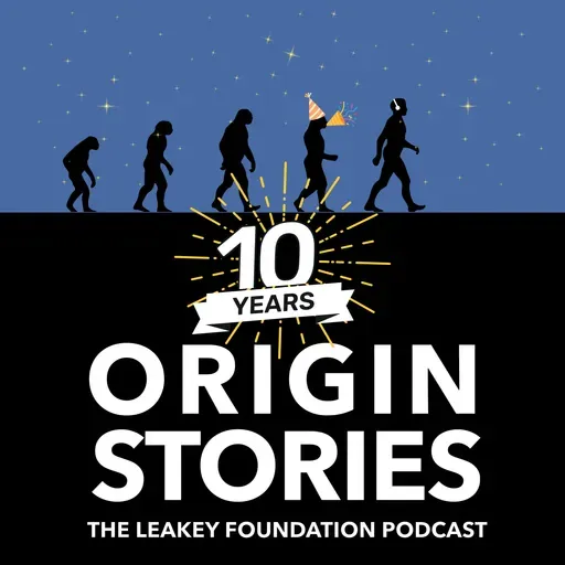 The Origin Story of Origin Stories - 10th Anniversary