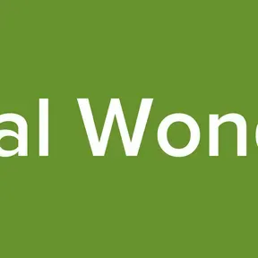 Vocal Wonders