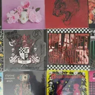 100% Ska Podcast S07E06 – Supernova Preview, Croydon Fest, and more Touring Bands