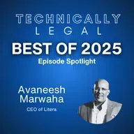 Best of 2025 - From IP Lawyer to Investor to CEO to Legal Ecosystem Builder (Avaneesh Marwaha, Litera CEO)