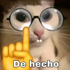 Rock y solo rock