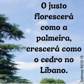 Radio Web Tempo de Florescer