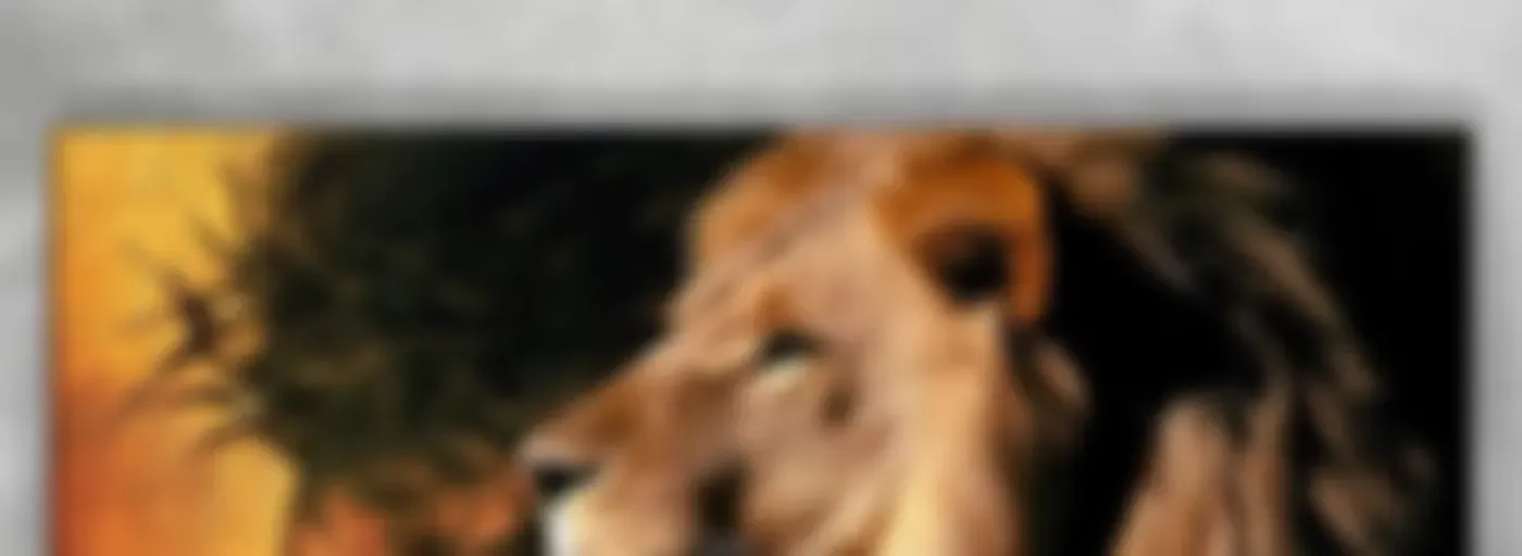 Rádio Filhos de Leão