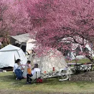 China's economic expansion to boost employment, well-being, AI industry