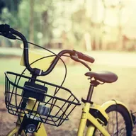 A solidariedade está aí