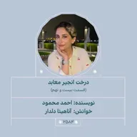 2584.درخت انجیر معابد (قسمت بیست و نهم)